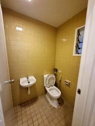 The Cairnhill (D9), Condominium #619024691